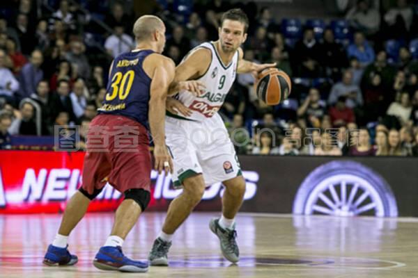 森林狼重金 森林狼重金