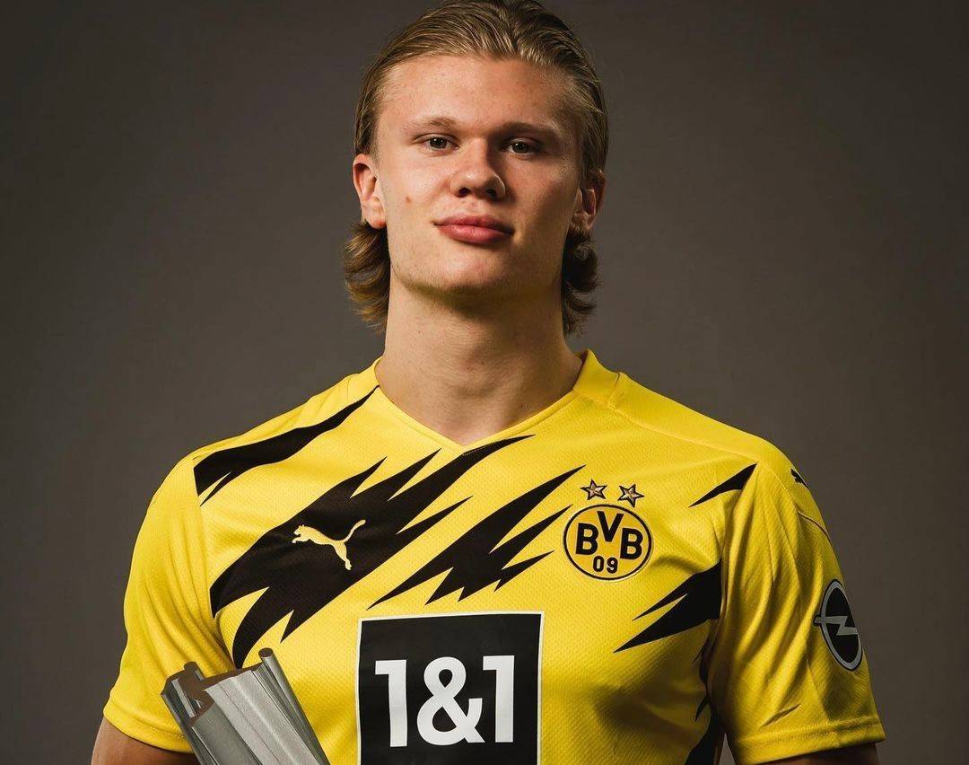 新人波动并 新人波动并